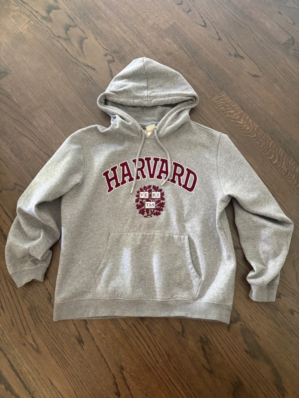 H&M Harvard University Ivy League Heather Gary Hoodie